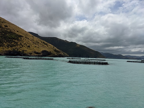 Bay view with a mountain backdrop and cloudy skies at Akaroa, New Zealand