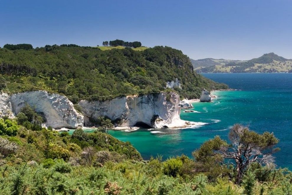 Wooded cliffs beside the sea against a blue sky