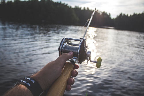 Hand holding a fishing rod with a lake and trees in the background