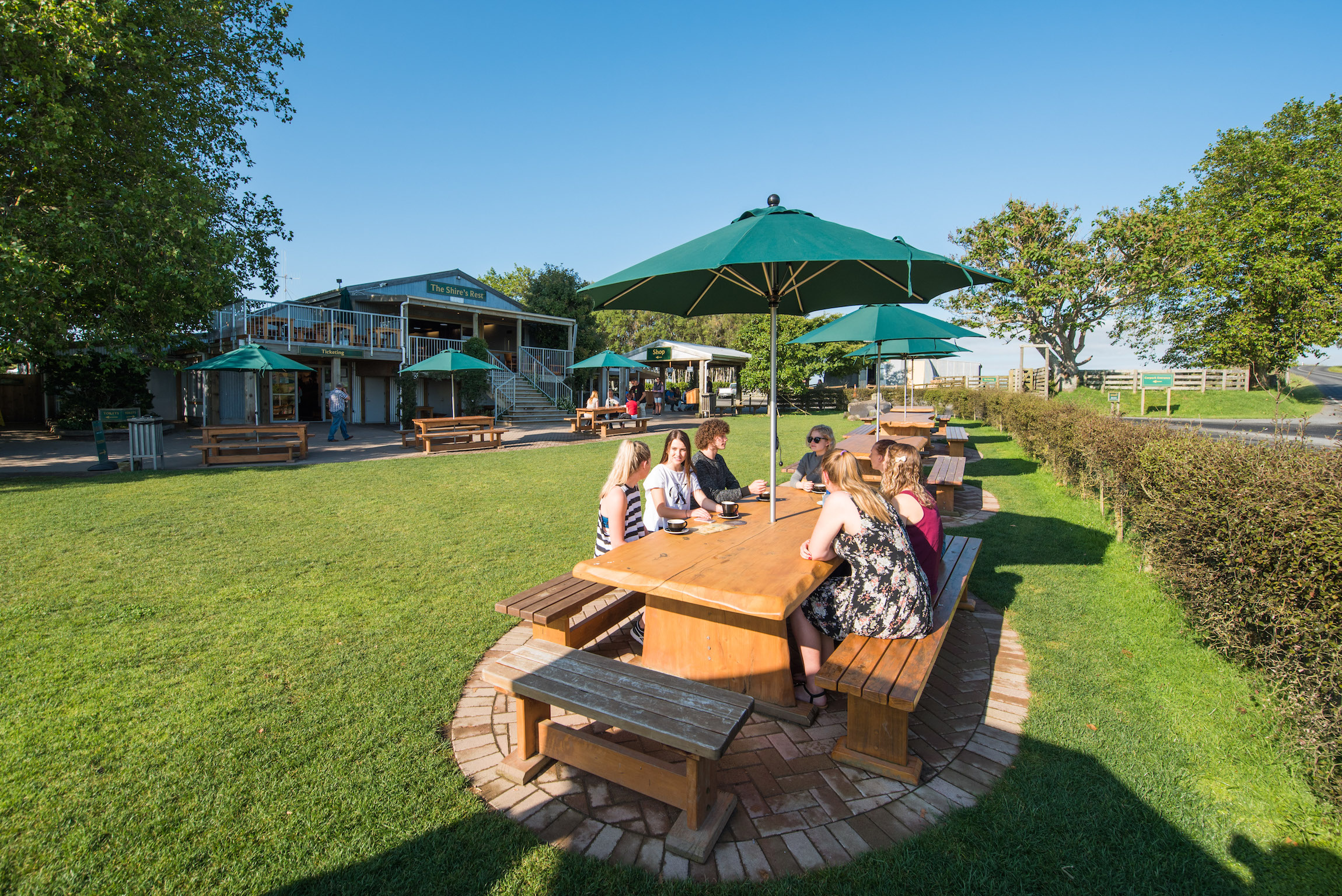 Outdoor dining at a garden cafe