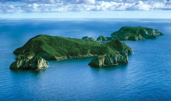 Poor Knights Islands Marine Reserve Tutukaka Coast New Zealand