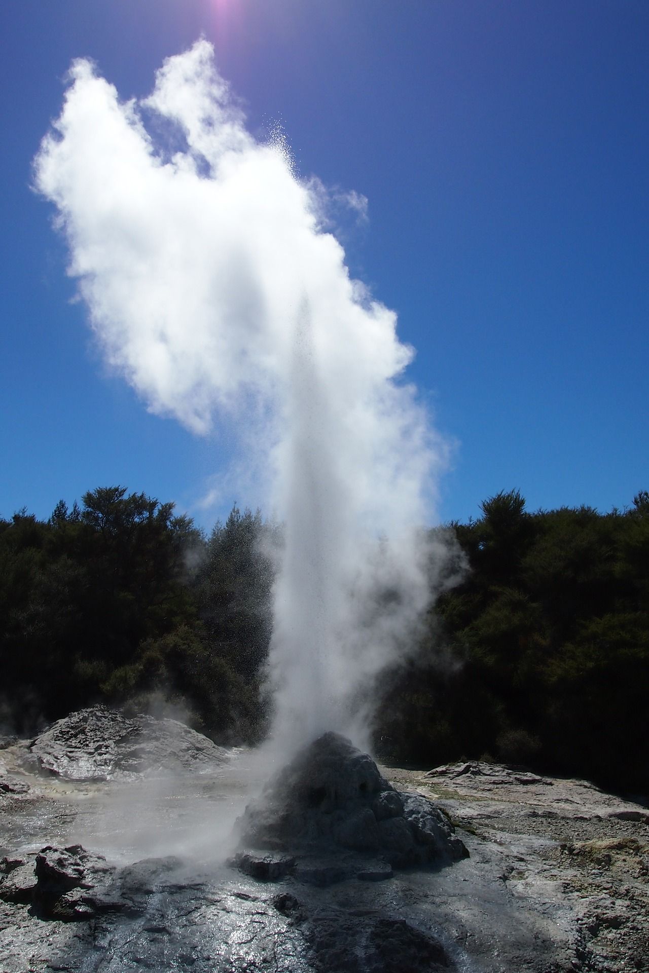 Pohutu, a geothermal geyser at Lake Rotorua, New Zealand