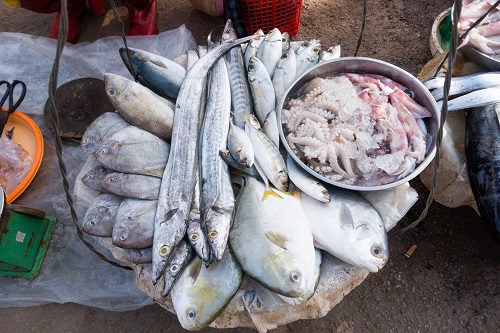 Seafood and fish in a pan for cooking