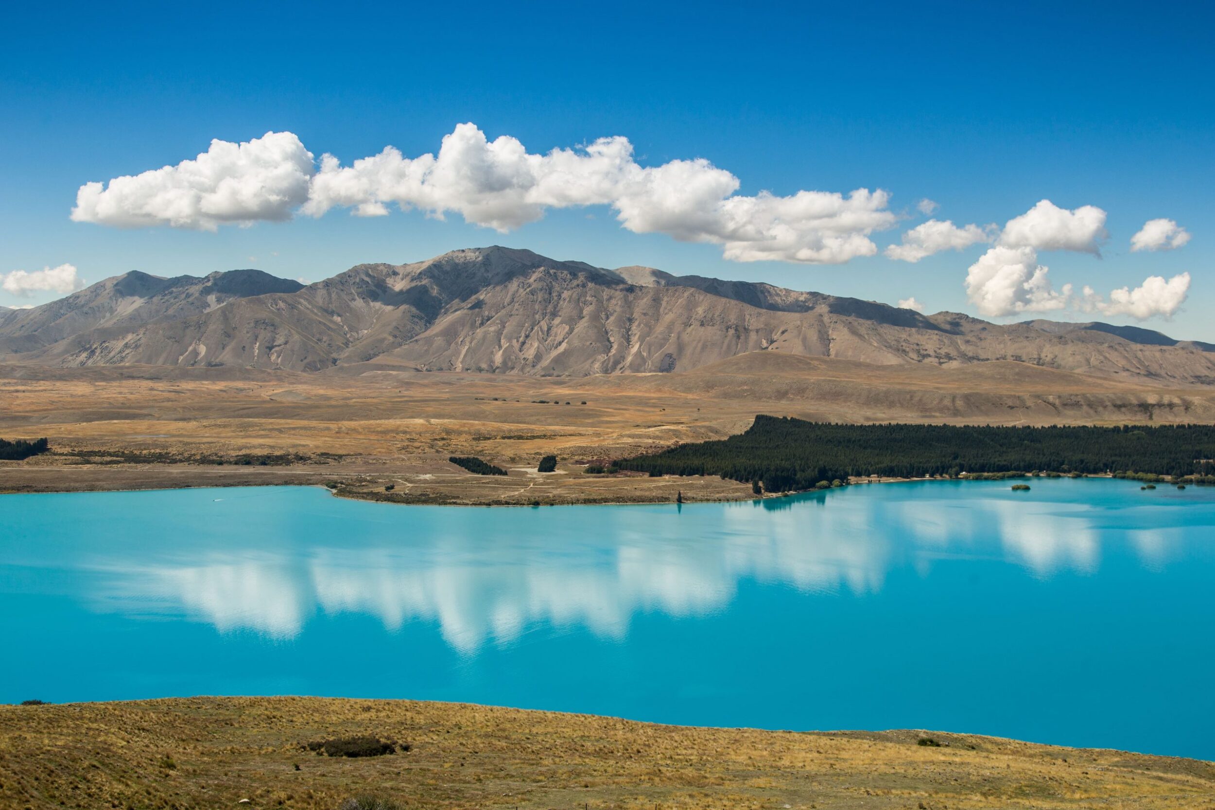 Tekapo Lake View