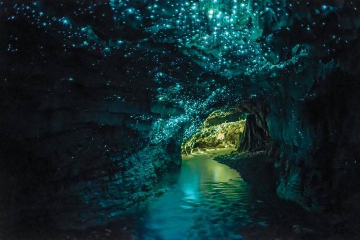 Waitomo Glowworm Caves underground river