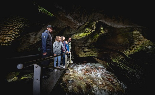 Te Anau Glowworm Cave Visit, Fiordland, New Zealand Visitors in the glowworm cave at Te Anau