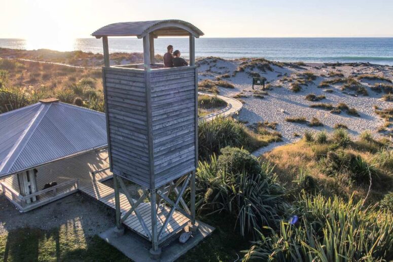 Franz Josef to Queenstown Tour