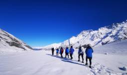 Guided New Zealand Tours