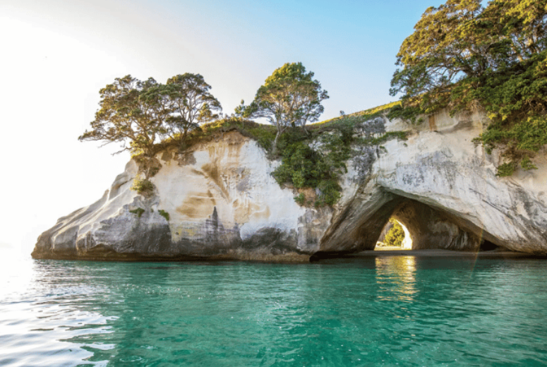 cathedral-cove-coromandel-tour-from-auckland Cathedral Cove & Coromandel Tour from Auckland