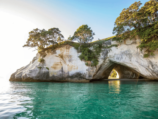 Cathedral Cove Tour from Auckland