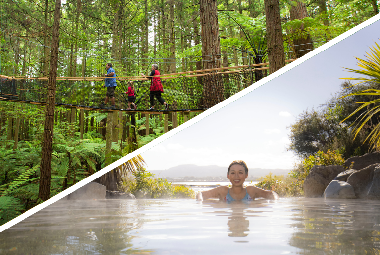 rotorua-redwoods-treealk-polynesian-spa-tour Redwoods Treewalk & Polynesian Spa Rotoura Tour from Auckland