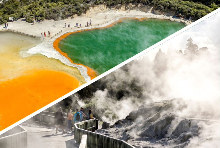 rotorua-wai-o-tapu-te-puia-tour Rotoura Tour from Auckland with Wai-O-Tapu & Te Puia