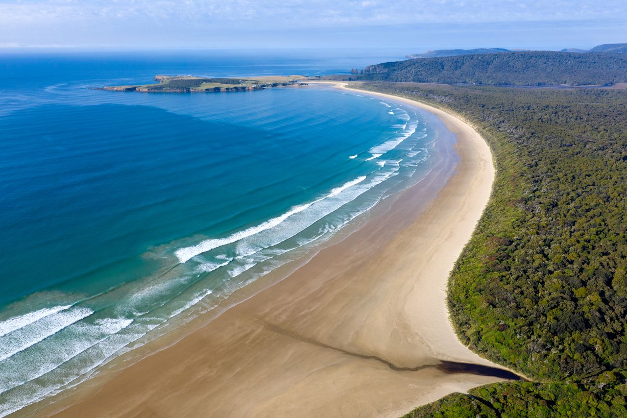 450716-florence-hill-lookout-southland-new-zealand-credit-chris-mclennan-5-web-version Tours from Franz Josef featuring Kea