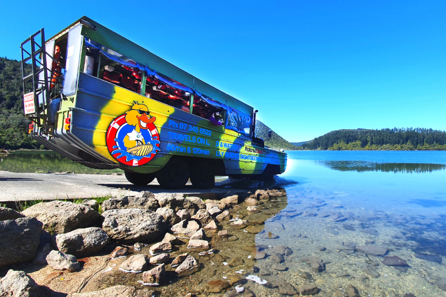 Rotorua Te Puia & Hobbiton Tour from Auckland